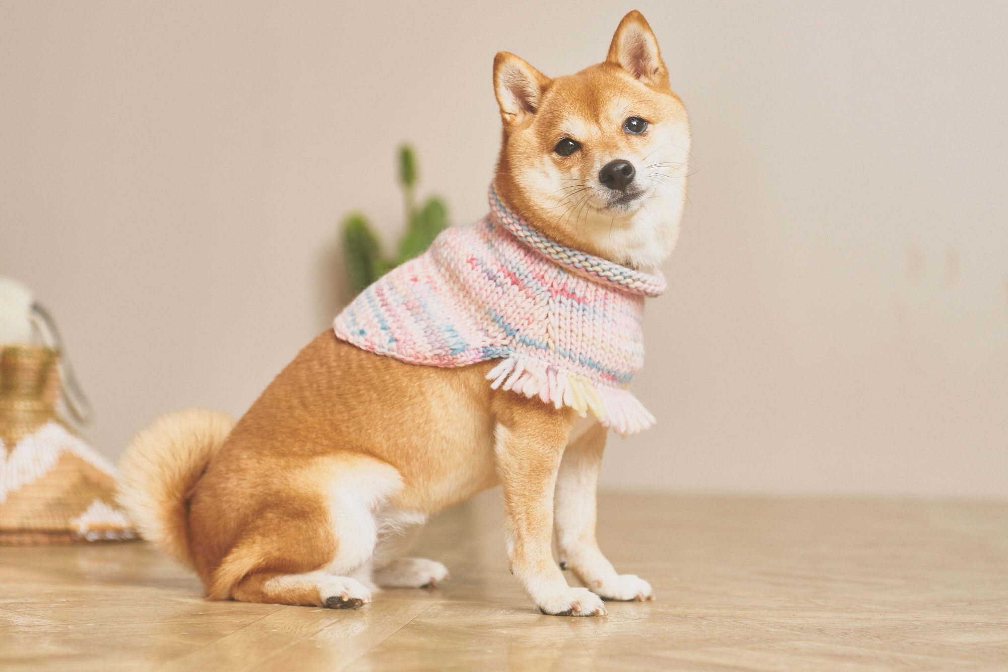 犬用ニットポンチョ おしゃれ